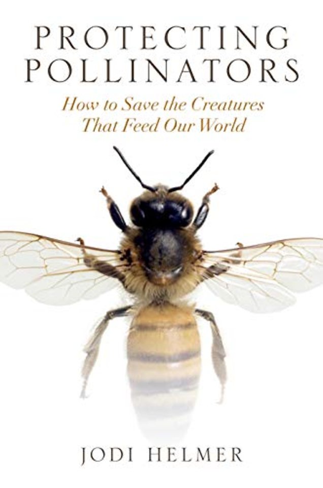 Protecting Pollinators – How to Save the Creatures that Feed Our World
