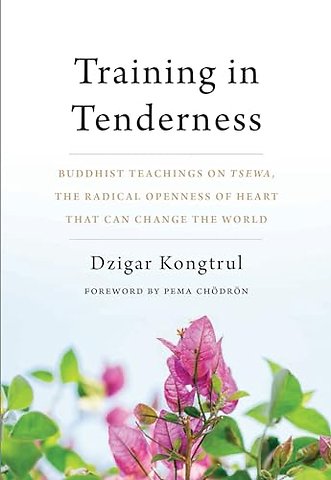 Training in Tenderness