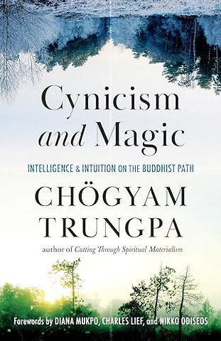 Cynicism and Magic