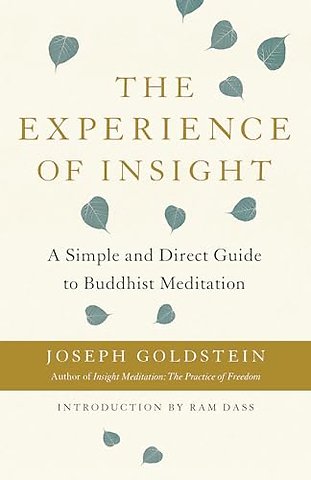 The Experience of Insight