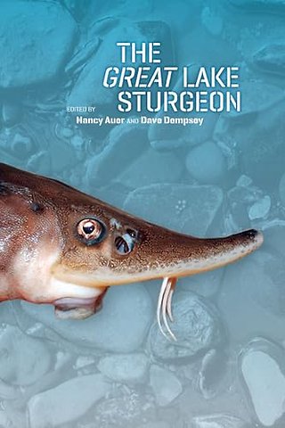 The Great Lake Sturgeon