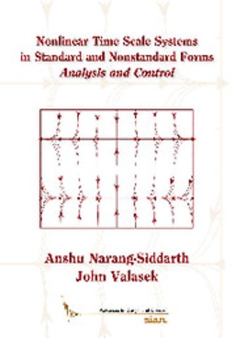 Nonlinear Time Scale Systems in Standard and Nonstandard Forms
