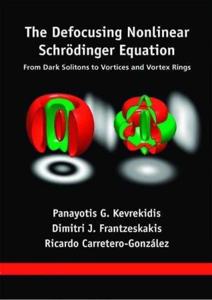 The Defocusing Nonlinear Schrödinger Equation