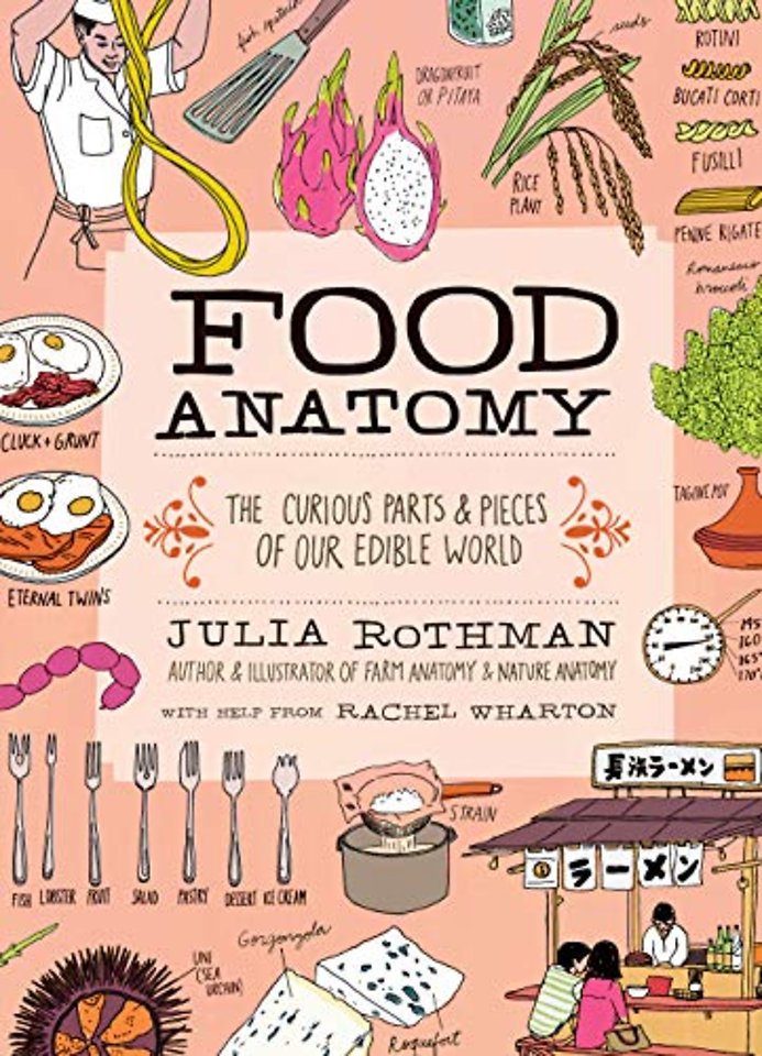 Food Anatomy