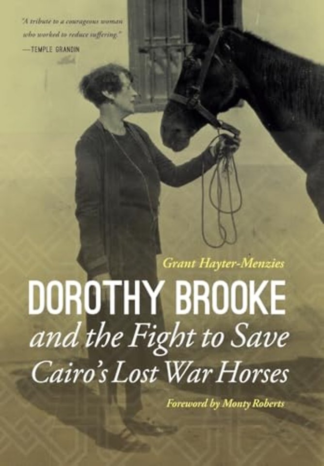 Dorothy Brooke and the Fight to Save Cairo′s Lost War Horses