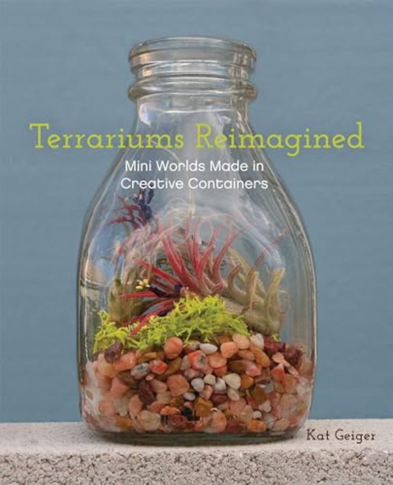 Terrariums Reimagined