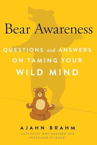 Bear Awareness