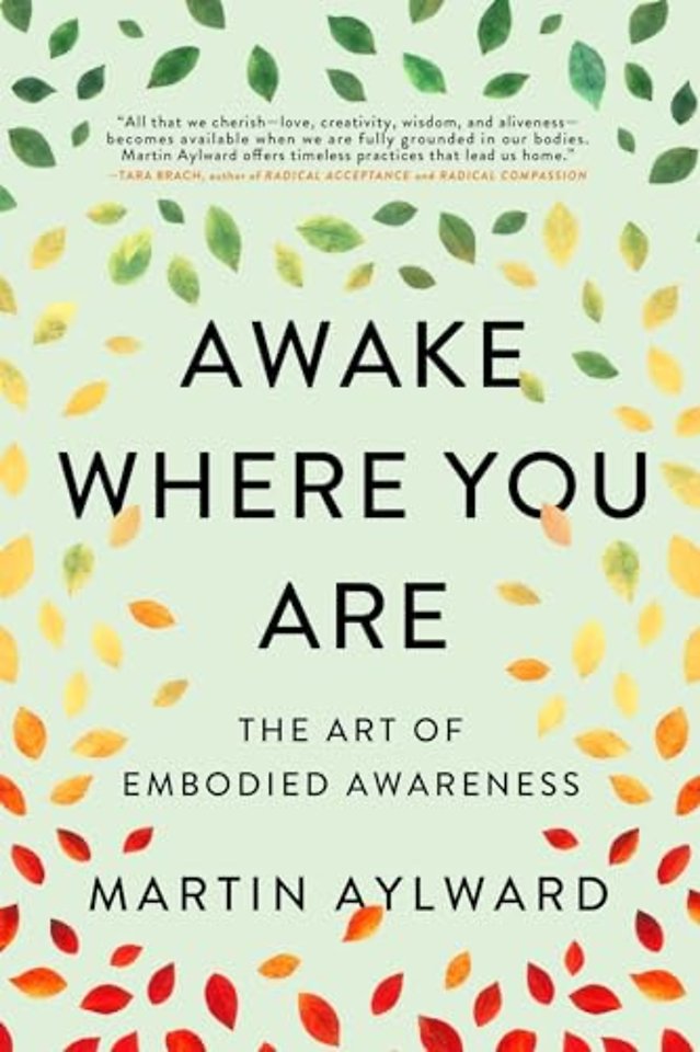 Awake Where You Are