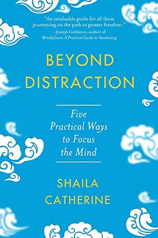 Beyond Distraction
