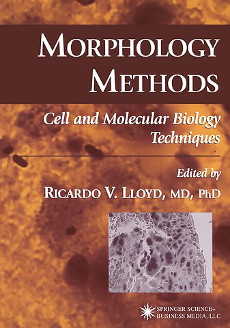 Morphology Methods