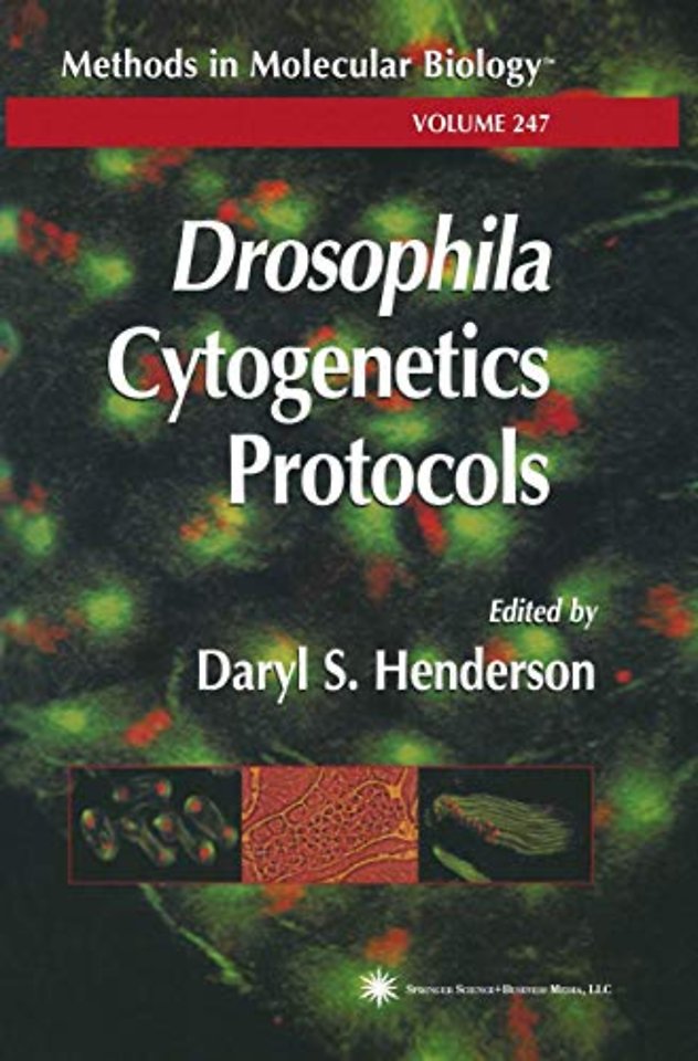 Drosophila Cytogenetics Protocols