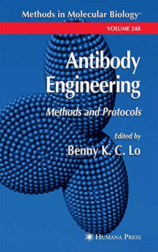 Antibody Engineering