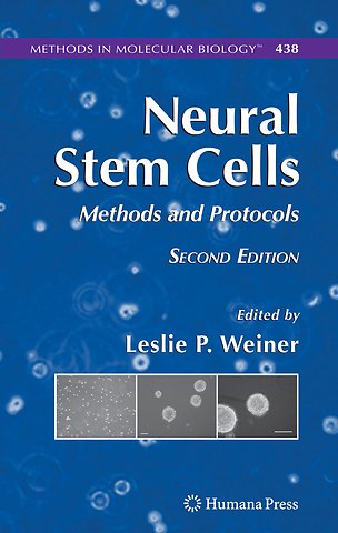 Neural Stem Cells