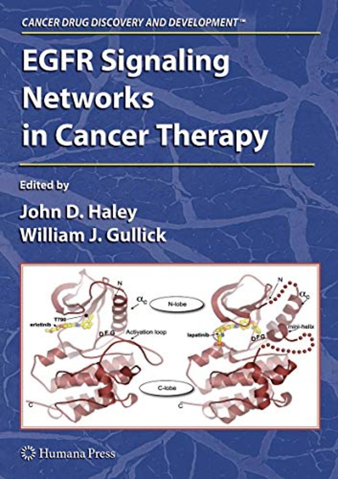 EGFR Signaling Networks in Cancer Therapy