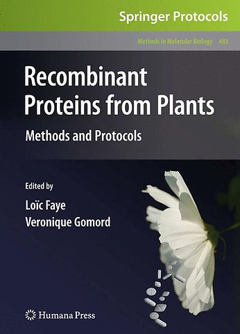 Recombinant Proteins From Plants