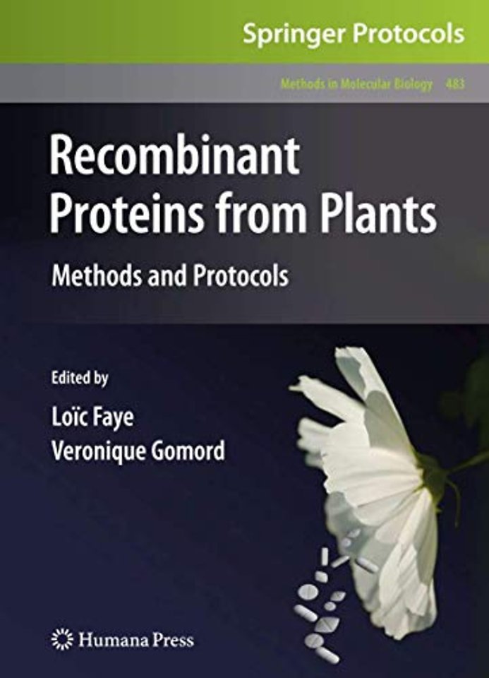 Recombinant Proteins From Plants