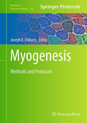 Myogenesis