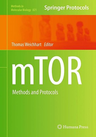 mTOR