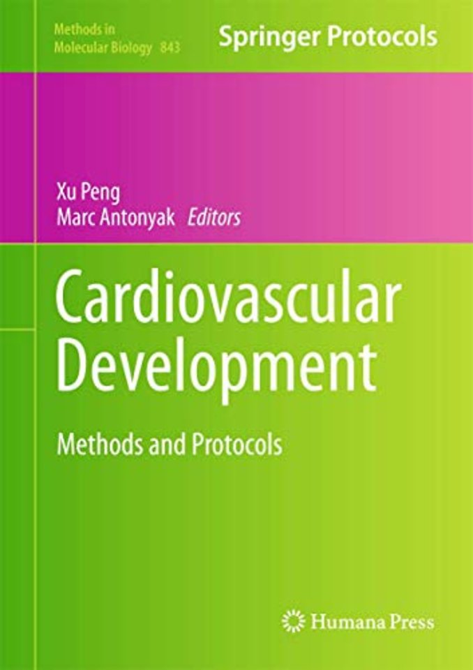 Cardiovascular Development
