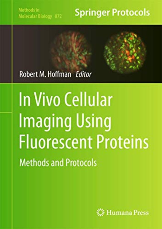 In Vivo Cellular Imaging Using Fluorescent Proteins