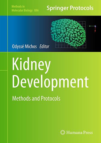 Kidney Development