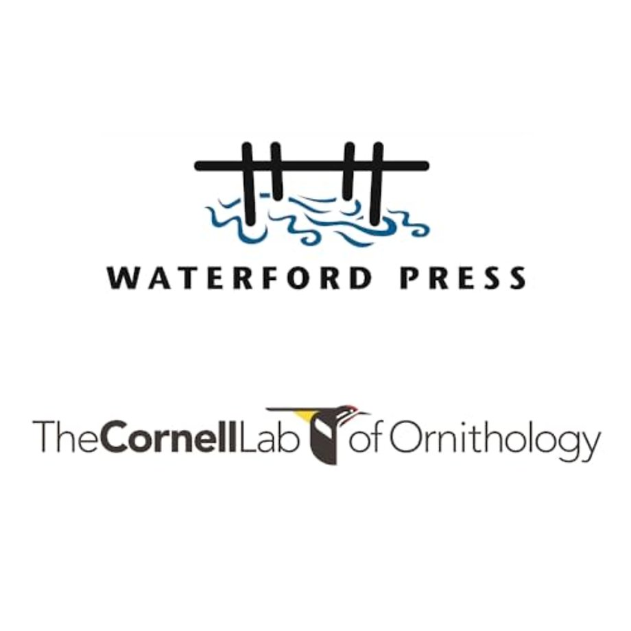 Nests and Eggs of North American Backyard Birds