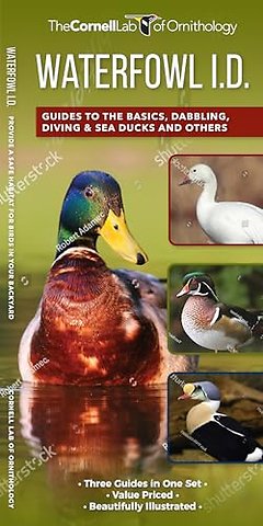 Waterfowl Id Set