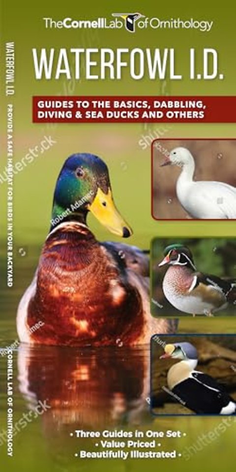 Waterfowl Id Set
