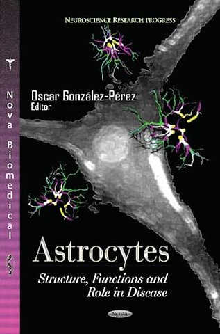 Astrocytes