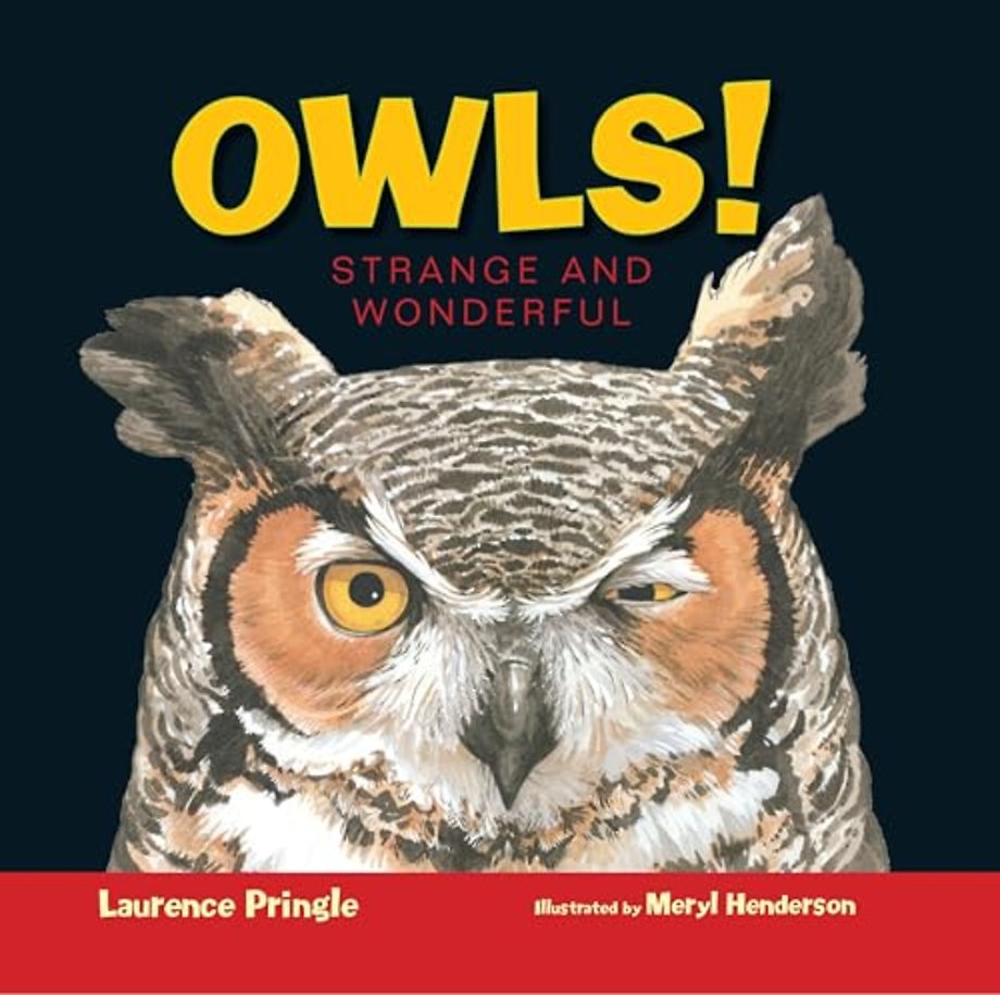 Owls!