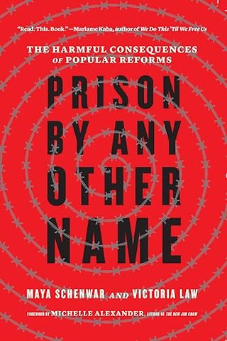 Prison by Any Other Name