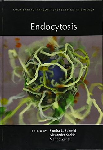 Endocytosis