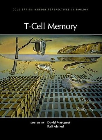 T-Cell Memory