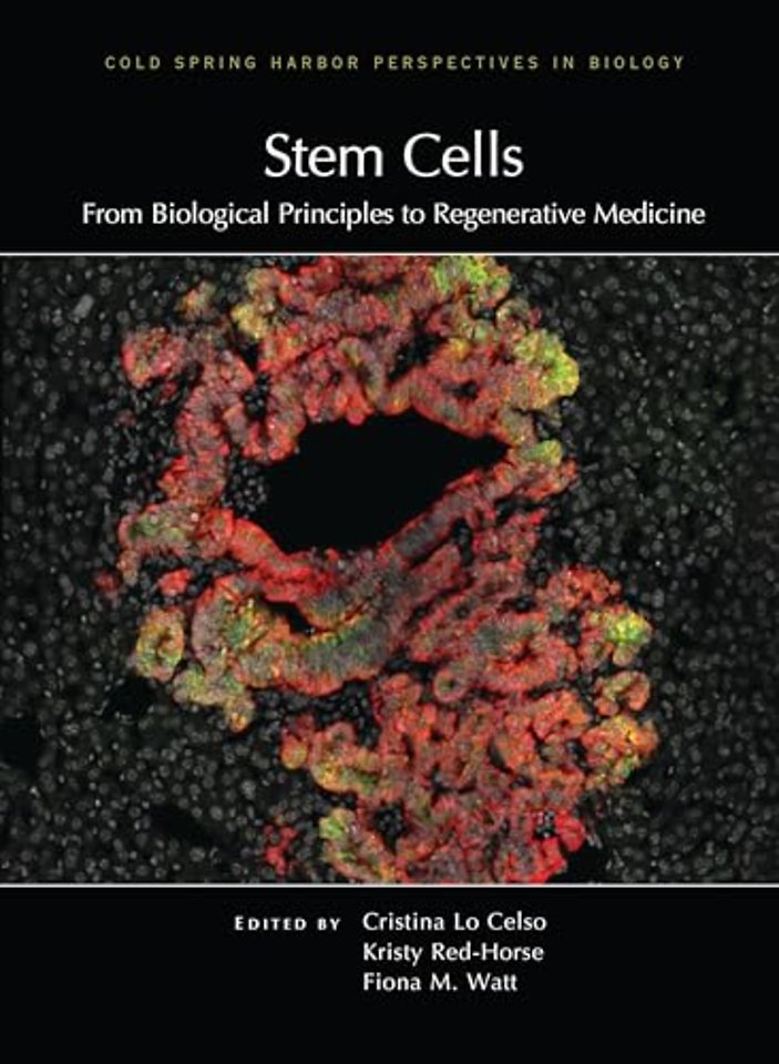 Stem Cells: From Biological Principles to Regenerative Medicine