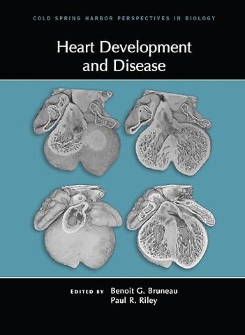 Heart Development and Disease