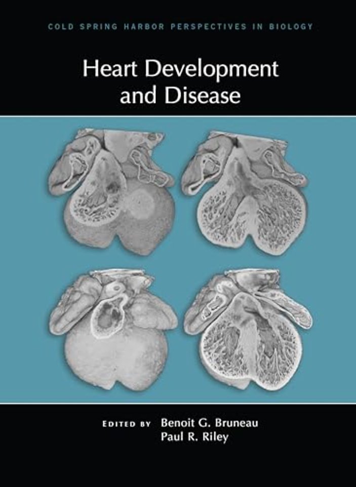 Heart Development and Disease