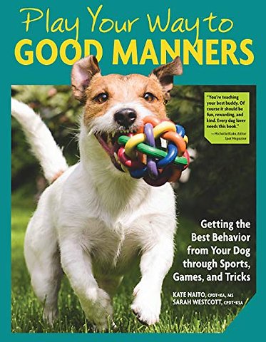 Play Your Way to Good Manners