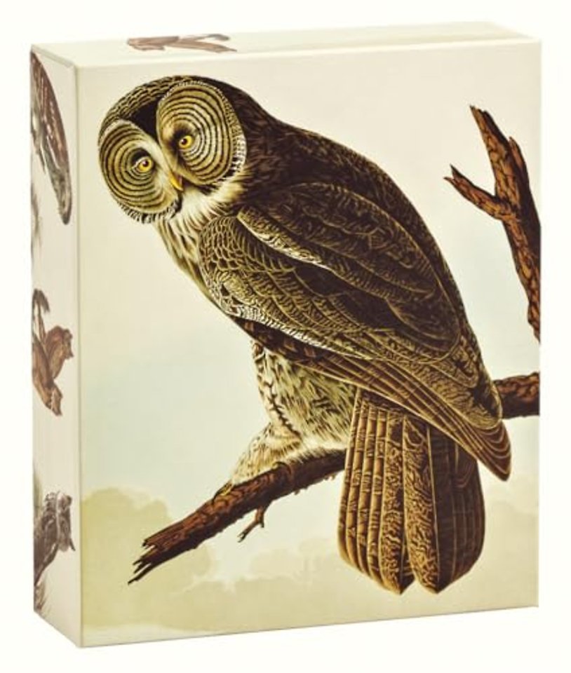 Audubon Owls QuickNotes