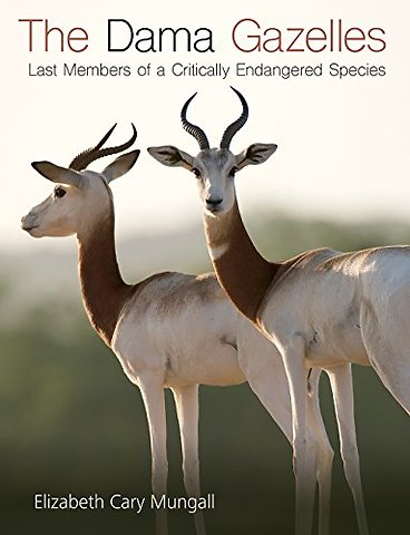 The Dama Gazelles – Last Members of a Critically Endangered Species