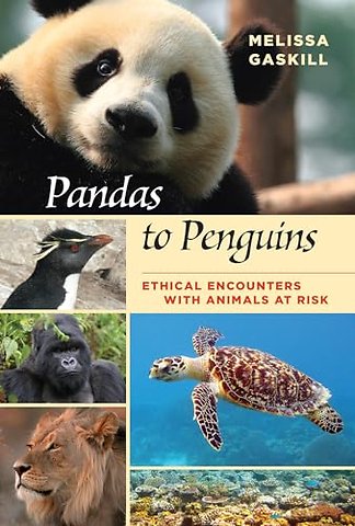 Pandas to Penguins – Ethical Encounters with Animals at Risk