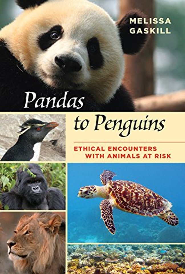 Pandas to Penguins – Ethical Encounters with Animals at Risk
