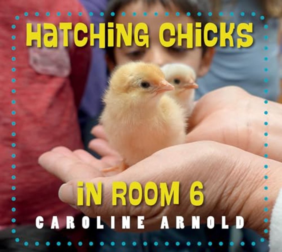 Hatching Chicks in Room 6