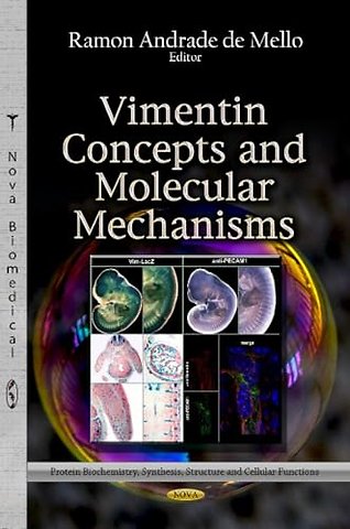 Vimentin Concepts & Molecular Mechanisms