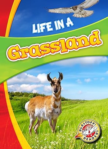 Life in a Grassland