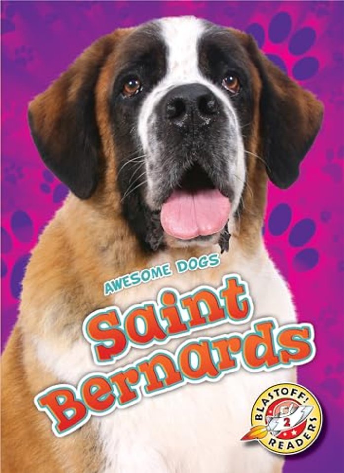 Saint Bernards