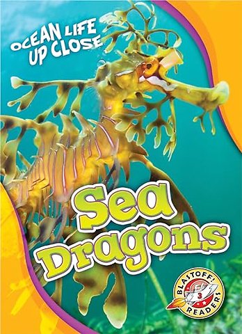 Sea Dragons