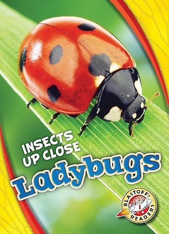 Ladybugs