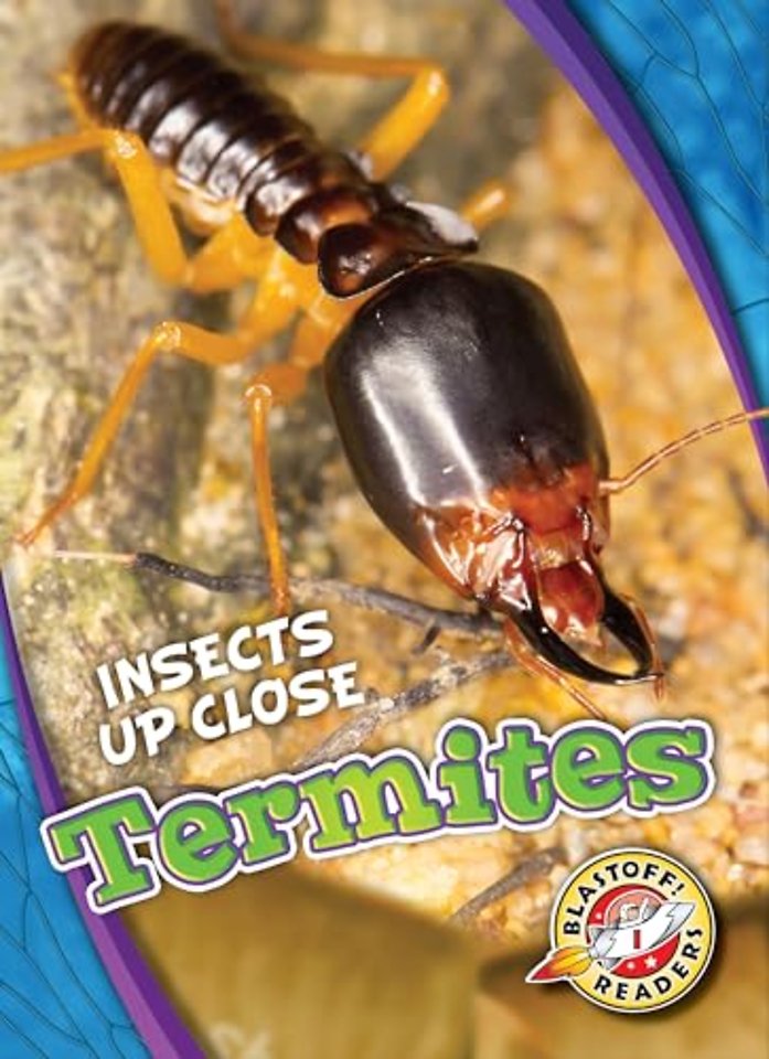 Termites