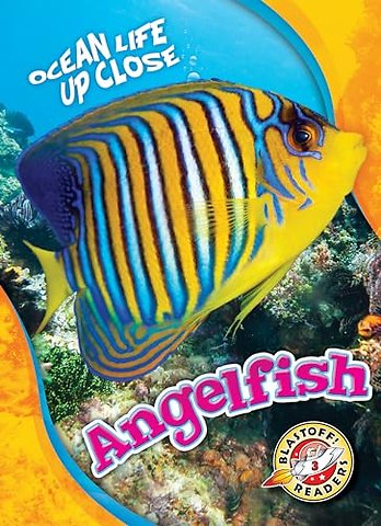 Angelfish