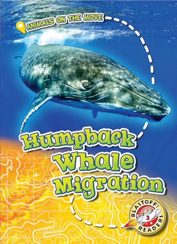 Humpback Whale Migration
